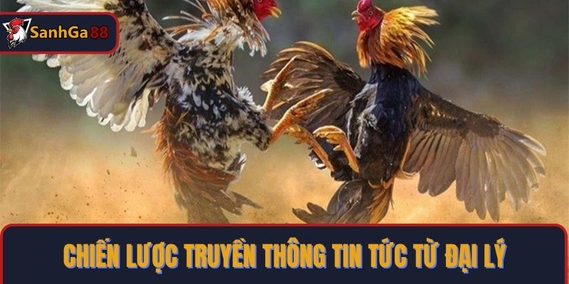 Chiến lược truyền thông tin tức từ đại lý