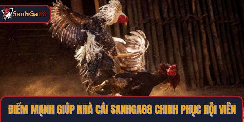 Điểm mạnh giúp nhà cái SanhGa88 chinh phục hội viên