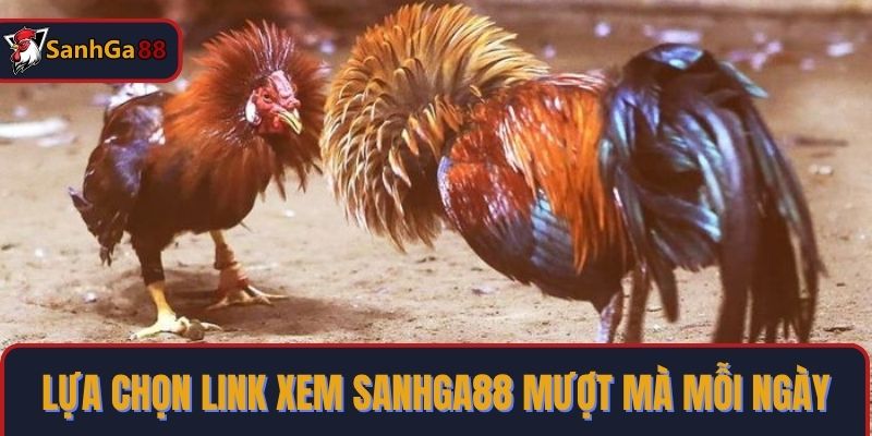 Lựa chọn link xem SanhGa88 mượt mà mỗi ngày
