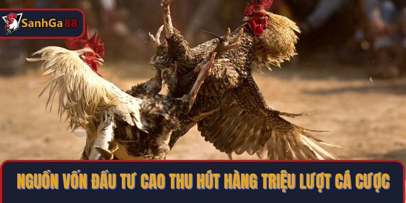 Nguồn vốn đầu tư cao thu hút hàng triệu lượt cá cược