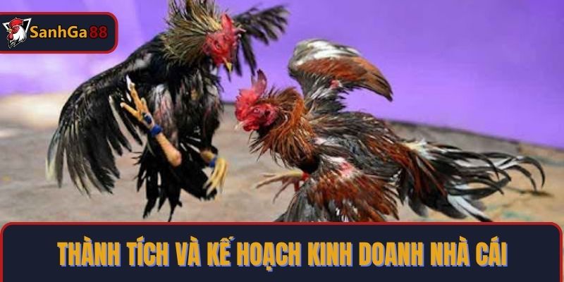 Thành tích và kế hoạch kinh doanh nhà cái