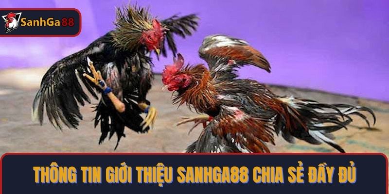 Thông tin giới thiệu SanhGa88 chia sẻ đầy đủ