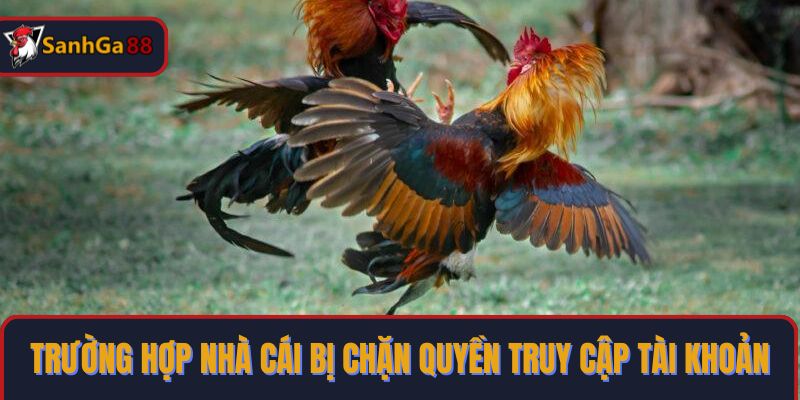 Trường hợp nhà cái bị chặn quyền truy cập tài khoản